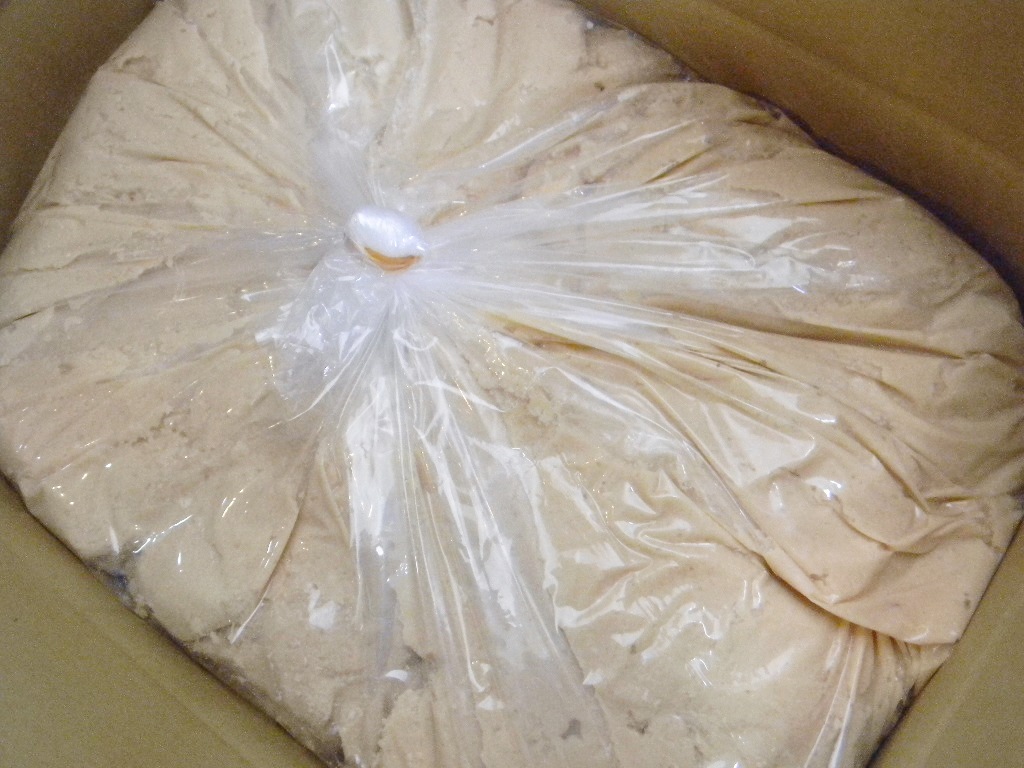 【セール品】早出し 漬け込み用吟醸酒粕(20kg)