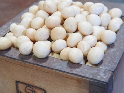 味噌用大豆 A品(30kg)