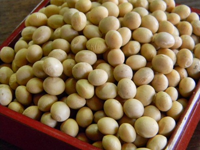 味噌用大豆 A品(1kg)