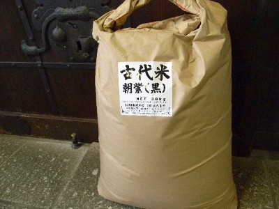 古代米 黒もち米 朝紫(30kg)