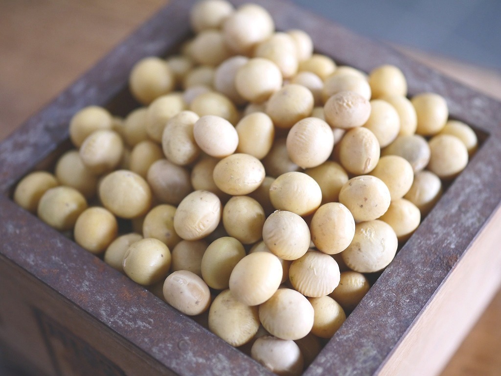 味噌用大豆 里のほほえみ(7kg)