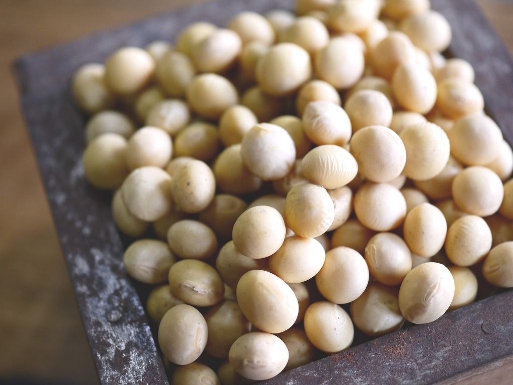 味噌用大豆 秋粒(1kg)