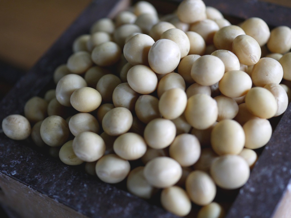 味噌用大豆 秋粒 特選(1kg)