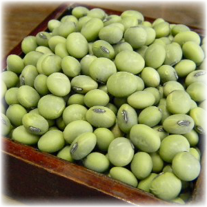 山形県産「青肌豆」「秘伝豆」