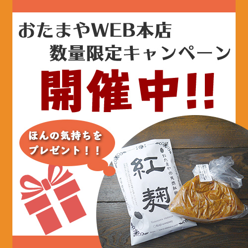 おたまやWEB本店数量限定キャンペーン