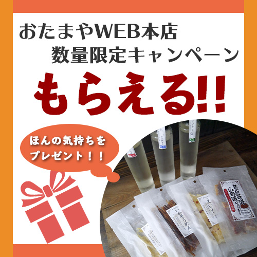 プレゼントキャンペーン