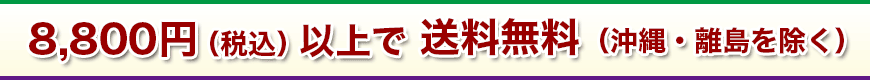 8,800円以上送料無料