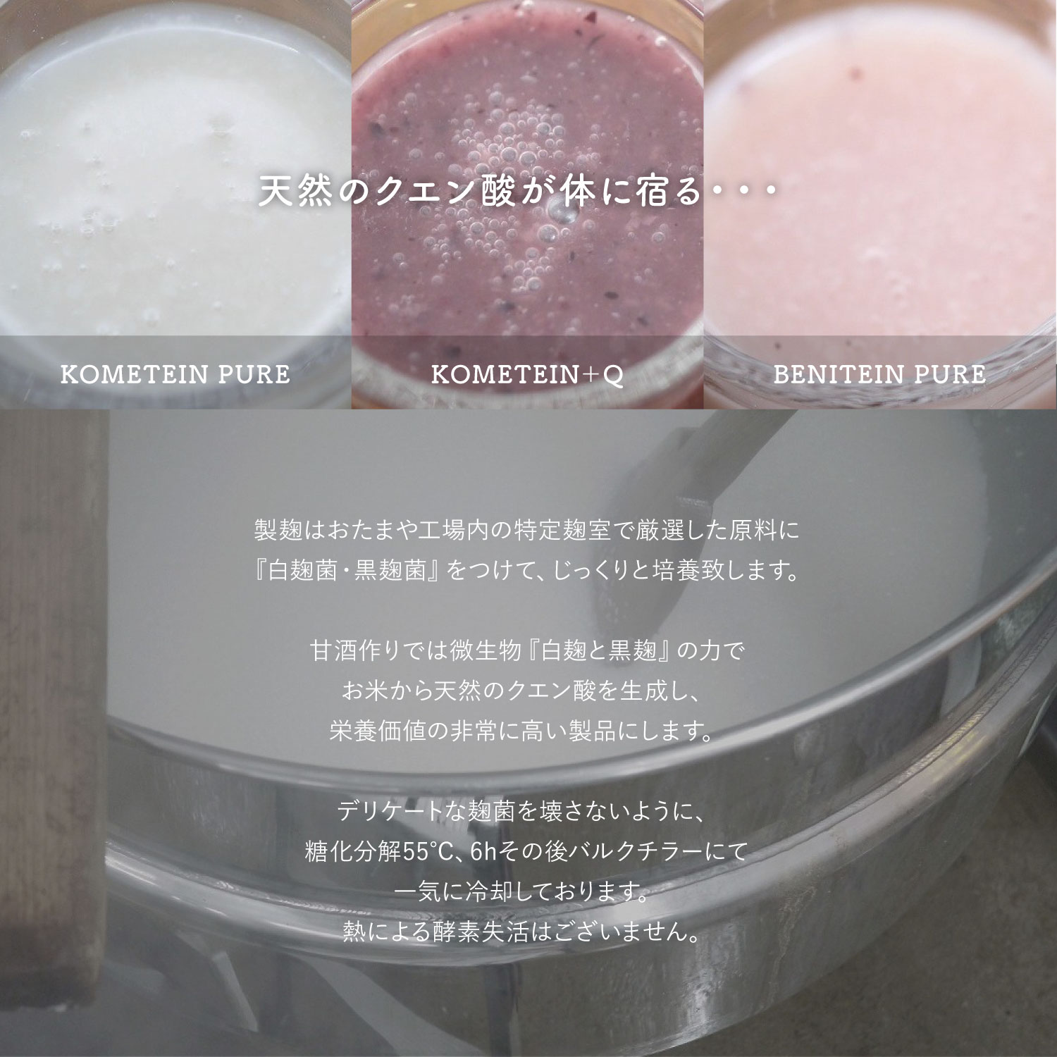 天然のクエン酸が体に宿る・・・ 製麹はおたまや工場内の特定麹室で厳選した原料に『白麹菌・黒麹菌』をつけて、じっくりと培養致します。