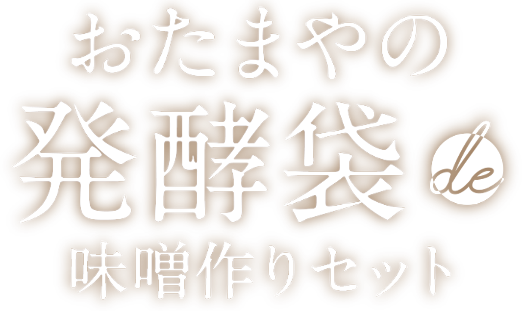 おたまやの発酵袋 de 味噌作りセット
