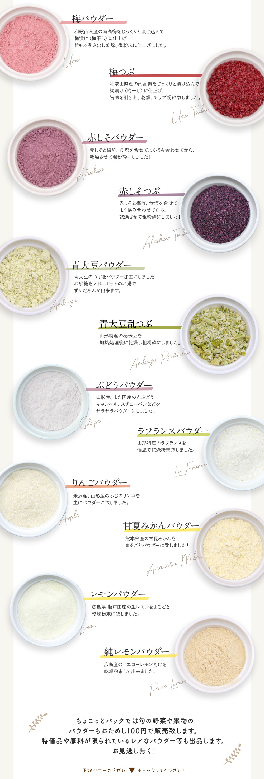 ラインナップ