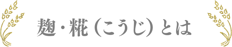 麹・糀（こうじ）とは