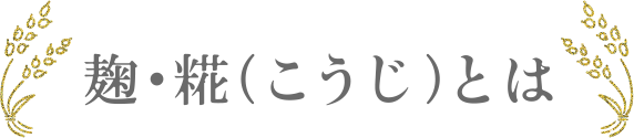 麹・糀（こうじ）とは