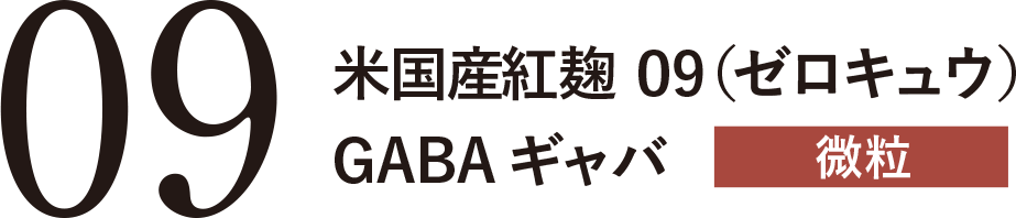 米国産紅麹 09（ゼロキュウ）GABA ギャバ 微粒