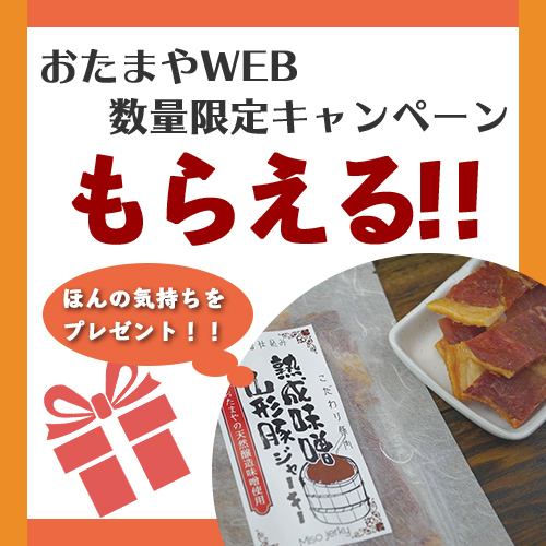 プレゼントキャンペーン