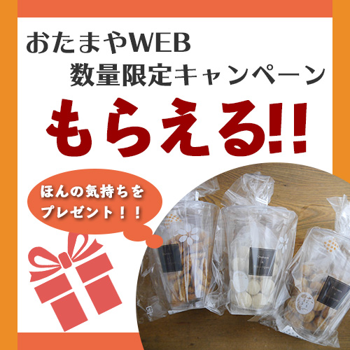プレゼントキャンペーン