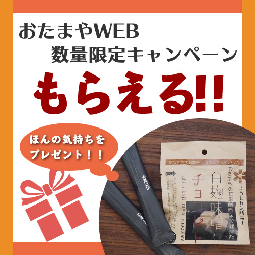 プレゼントキャンペーン