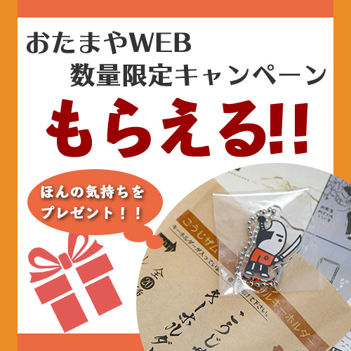 プレゼントキャンペーン