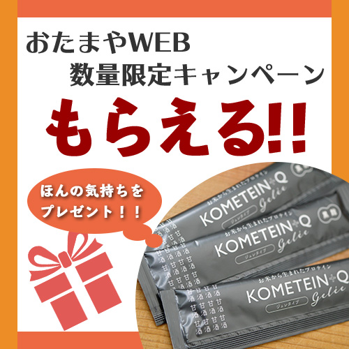 プレゼントキャンペーン