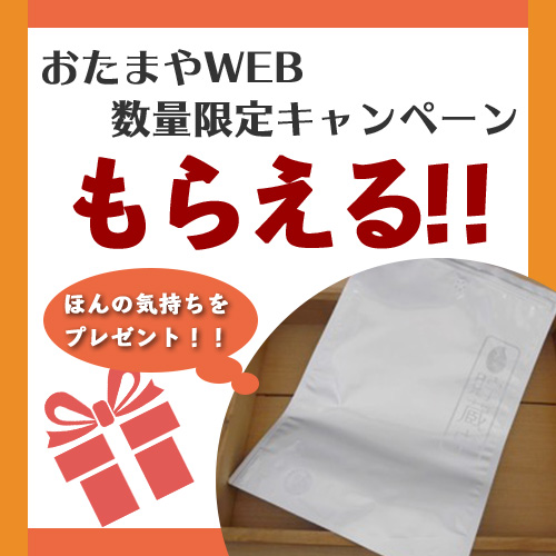 プレゼントキャンペーン