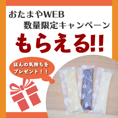 プレゼントキャンペーン