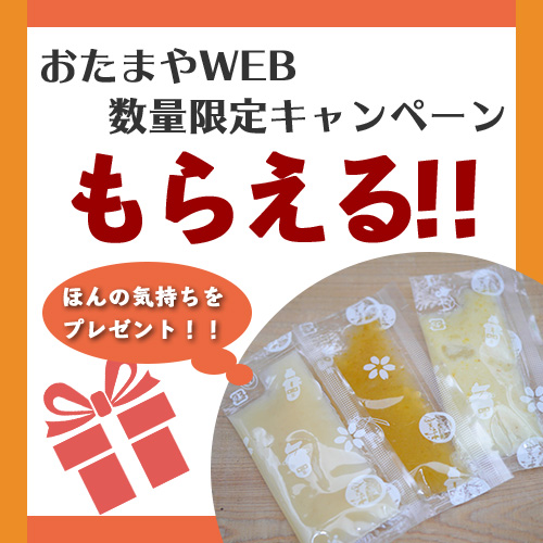 プレゼントキャンペーン