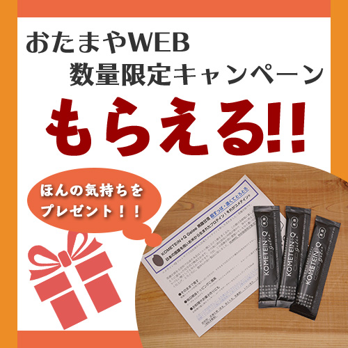 プレゼントキャンペーン