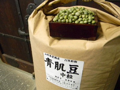 青肌豆 中粒(30kg)