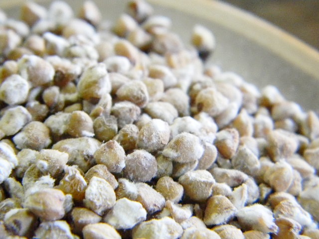 乾燥蕎麦麹 乾燥麹(600g)