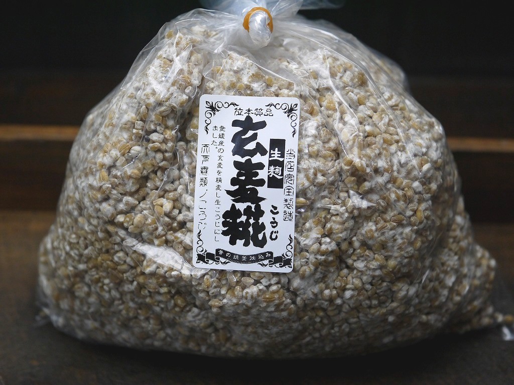 玄麦麹 生麹(1kg)