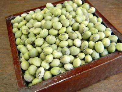 青肌豆 小粒(1kg)