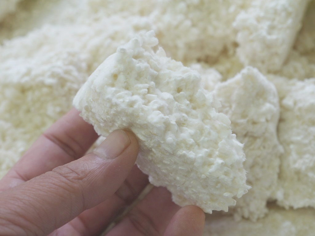 乾燥米麹 乾燥麹(800g)