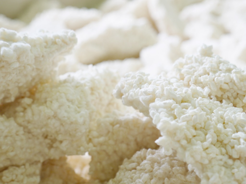 乾燥米麹 乾燥麹(800g)