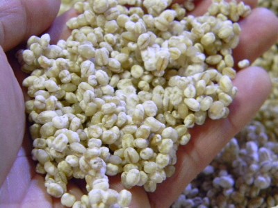 乾燥麦麹 乾燥麹(800g)