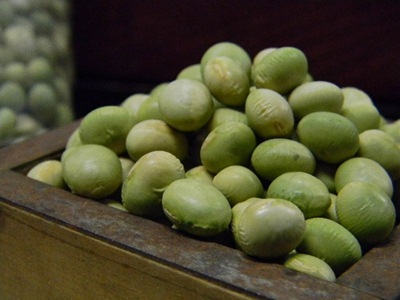 秘伝豆 大粒(3kg)
