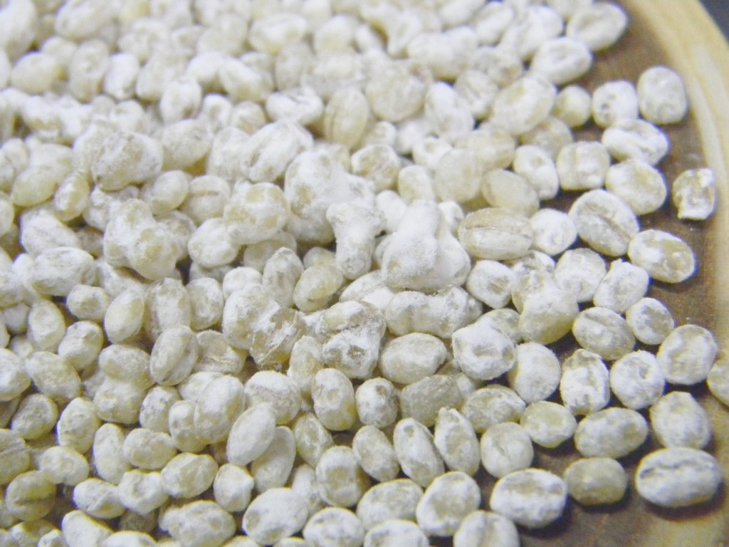 乾燥大麦麹 乾燥麹(650g)