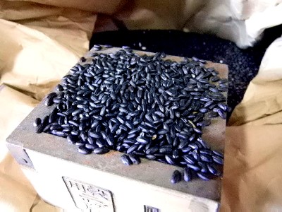 古代米 黒もち米 朝紫(5kg)