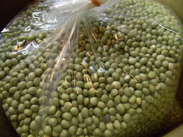 秘伝豆 大粒(10kg)
