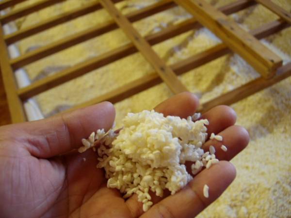 米麹 生麹（5kg×2個）