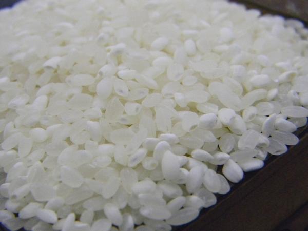 中白米 うるち米(5kg)
