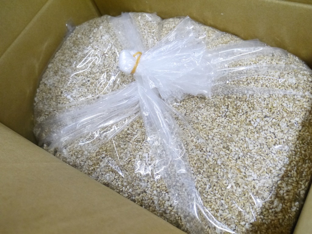乾燥玄米麹 乾燥麹(10.5kg)