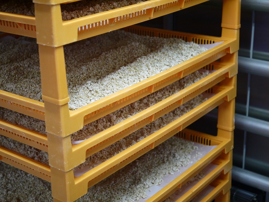 乾燥玄米麹 乾燥麹(10.5kg)