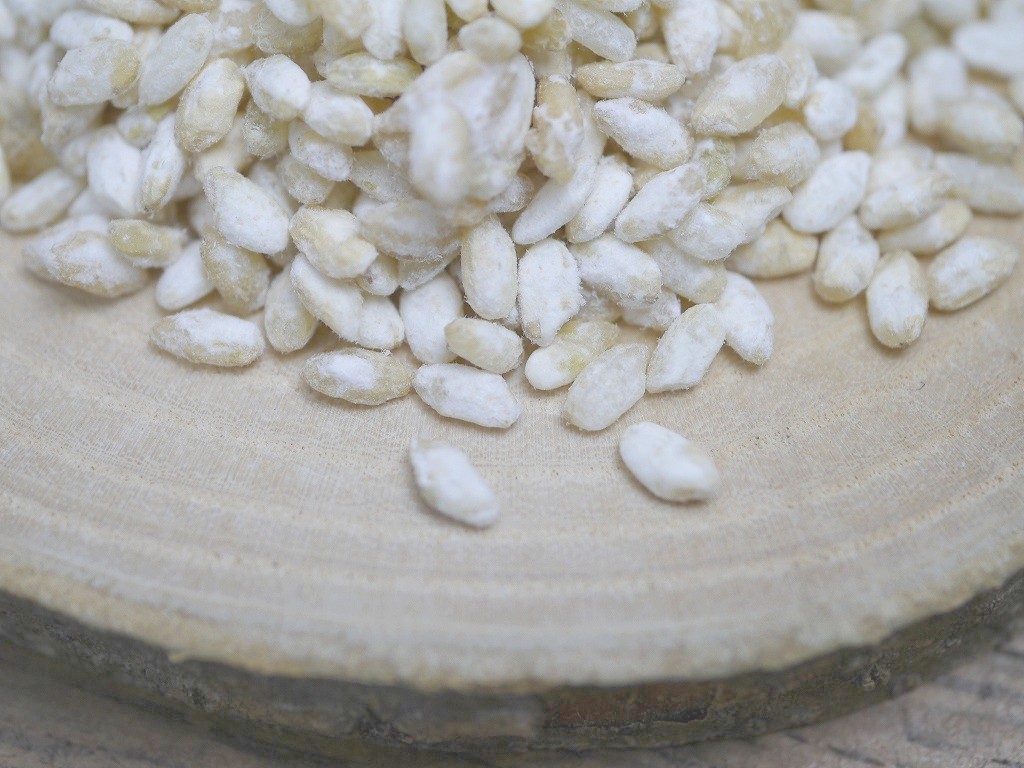 乾燥玄米麹 乾燥麹(700g)