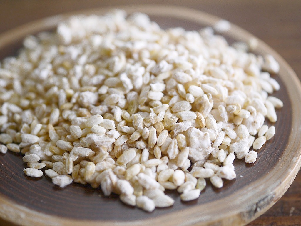 乾燥玄米麹 乾燥麹(180g)