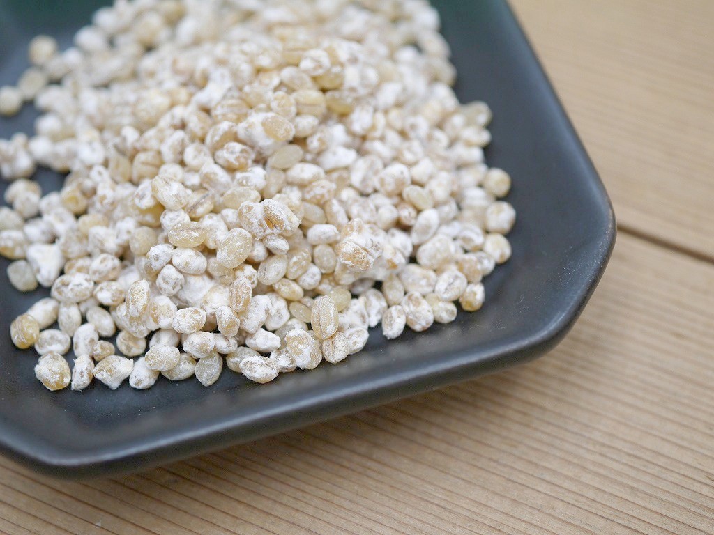 乾燥大麦麹 乾燥麹(180g)