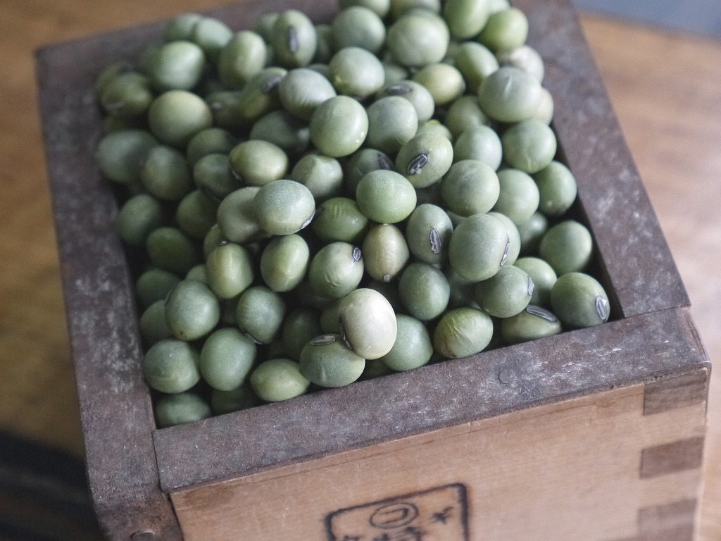青肌豆 中粒(10kg)