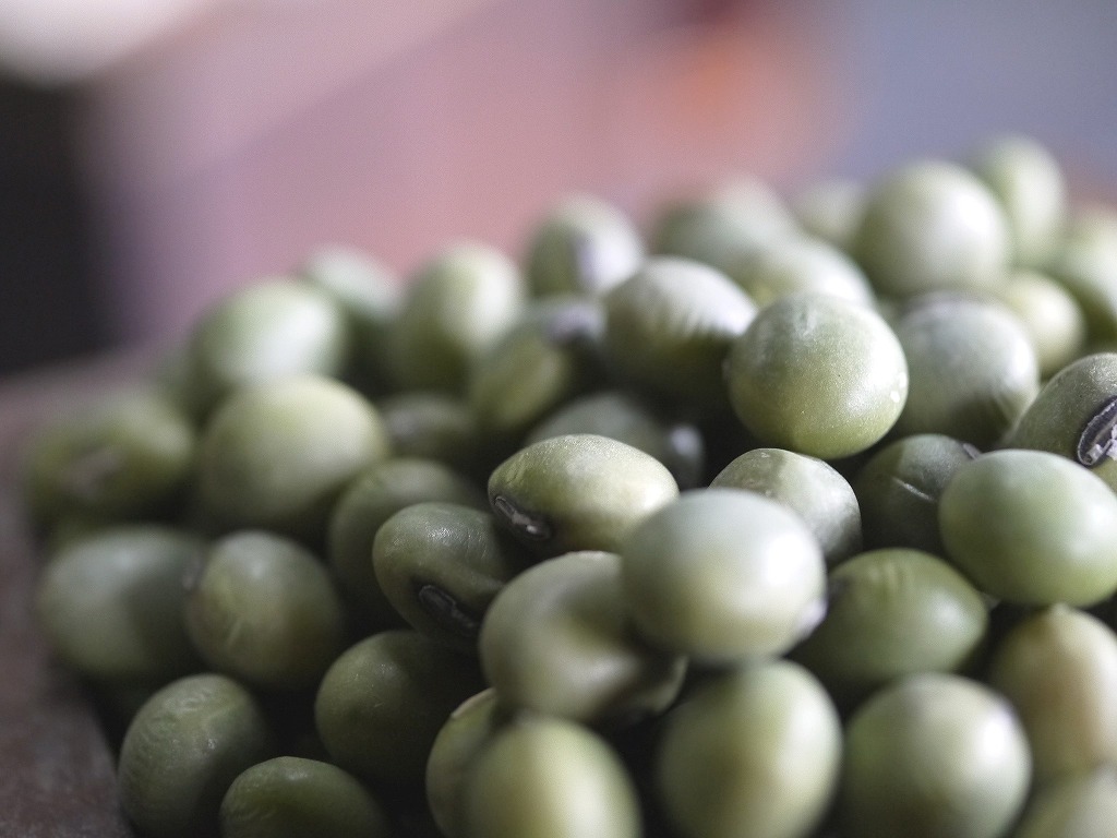 青肌豆 中粒(1kg)
