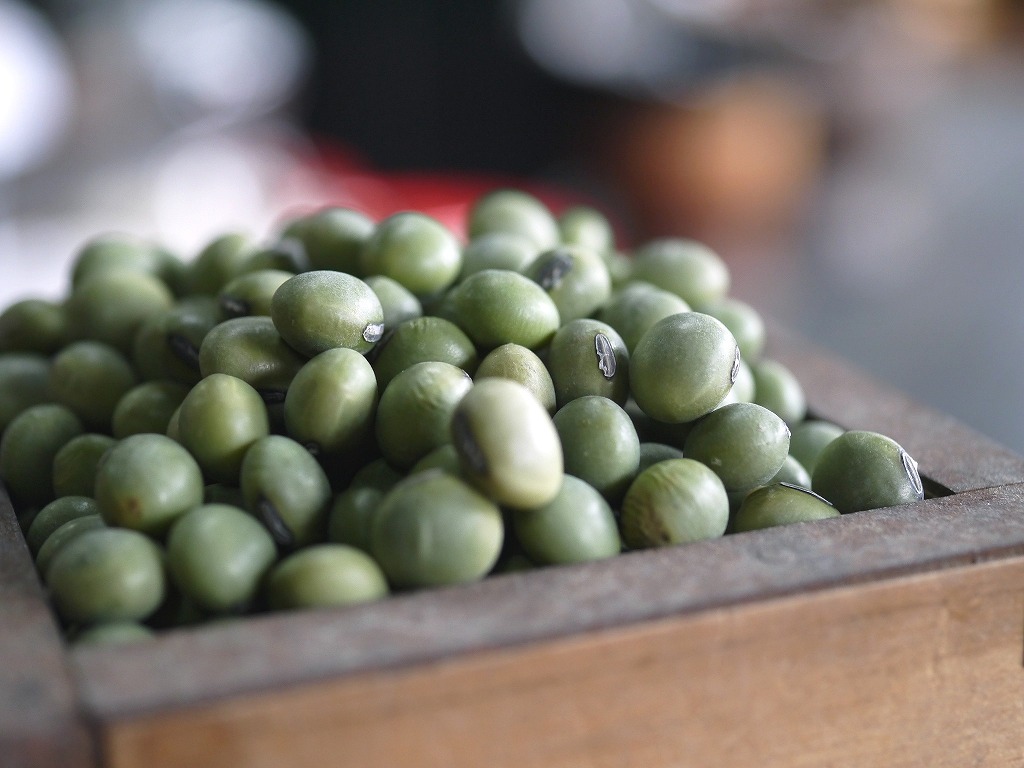 青肌豆 中粒(3kg)
