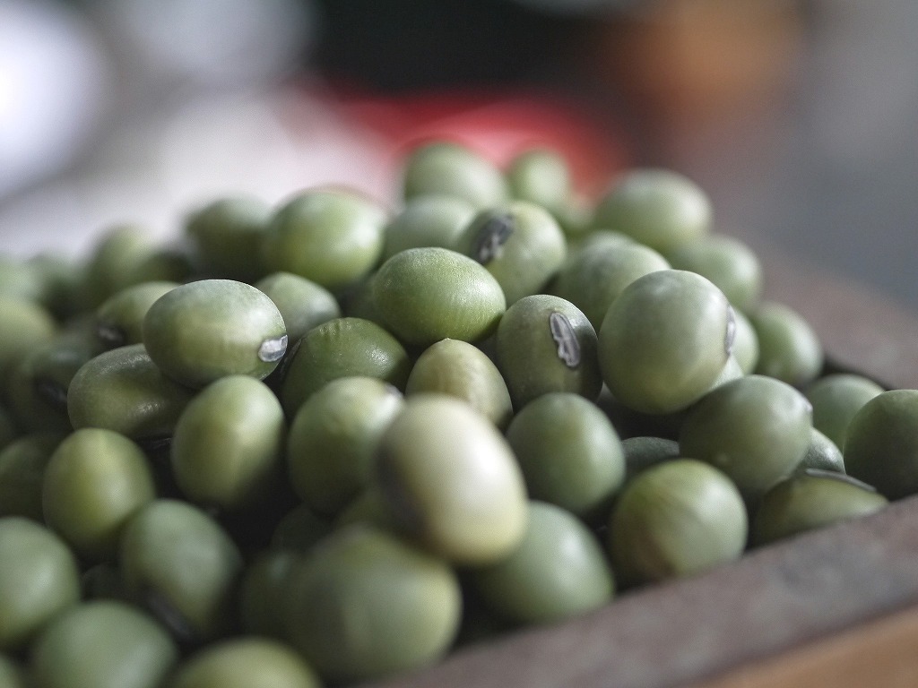 青肌豆 中粒(30kg)