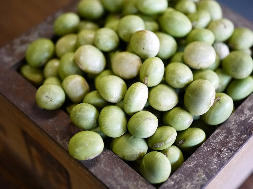 秘伝豆 大粒(10kg)