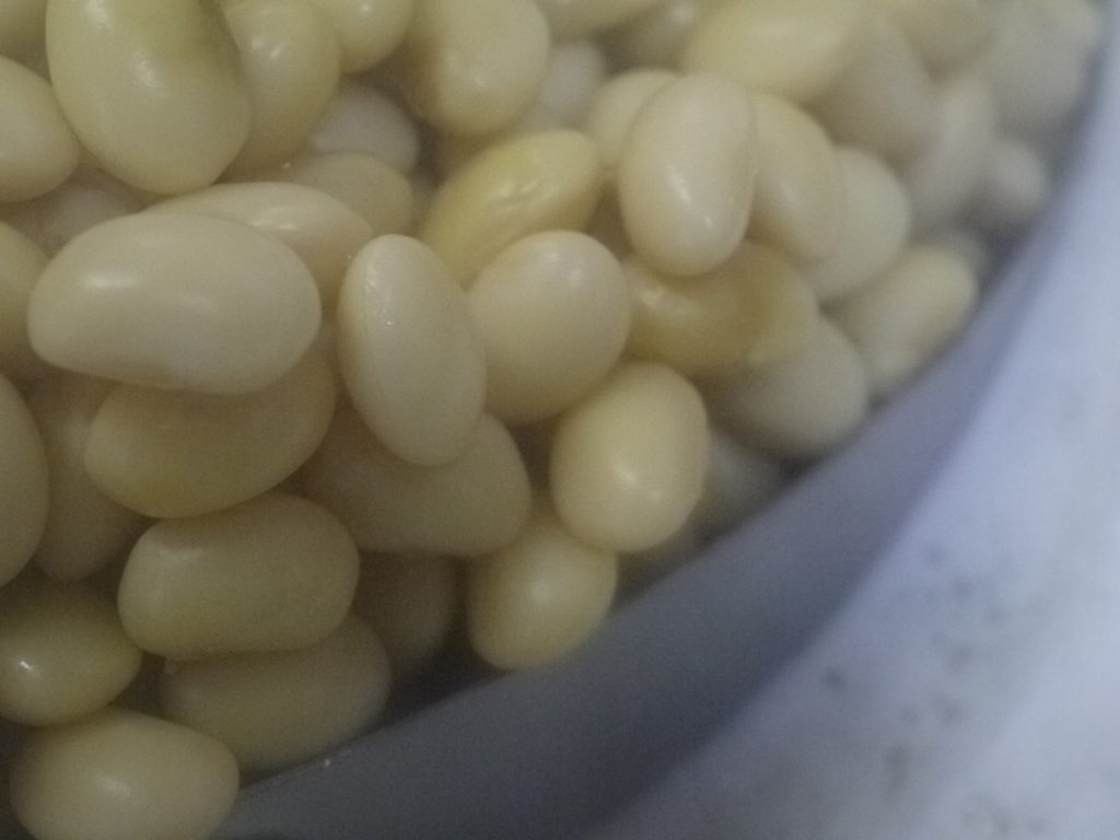 味噌用大豆 里のほほえみ（3kg）